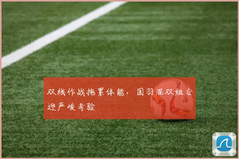 双线作战拖累体能，国羽混双组合迎严峻考验 - 足彩网推荐