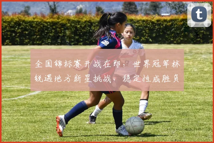 全国锦标赛开战在即，世界冠军林锐遇地方新星挑战，稳定性成胜负关键 - 足彩网推荐