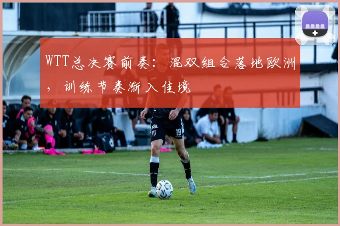 WTT总决赛前奏：混双组合落地欧洲，训练节奏渐入佳境 - 足彩网推荐